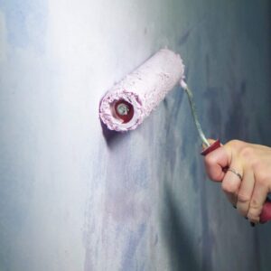 Pintura Integral de Interiores (Viviendas y Locales)