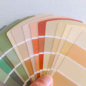 Colocación Profesional de Papel Pintado